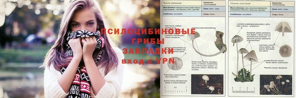 шишки Лиски