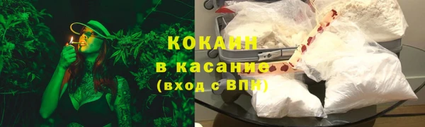 сатива Липки